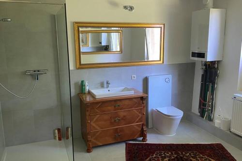 een badkamer met een wastafel, een toilet en een spiegel bij Moderne Kunst im Bauernhaus 