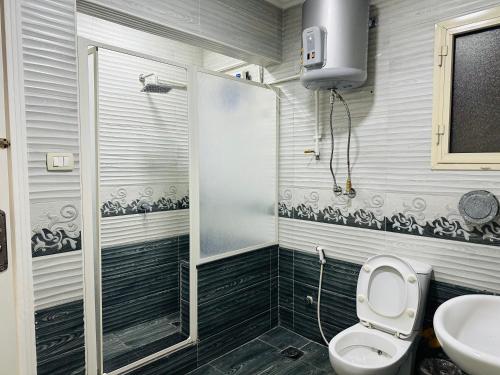 a bathroom with a shower and a toilet and a sink at 91 الميرلاند الدور 8 in Cairo