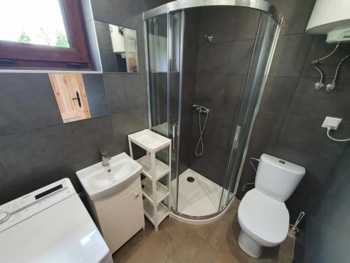 uma casa de banho com um chuveiro, um WC e um lavatório. em Domki w Nowicy em Nowica