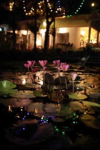 Jardín al aire libre en Marari Ebin Charlys