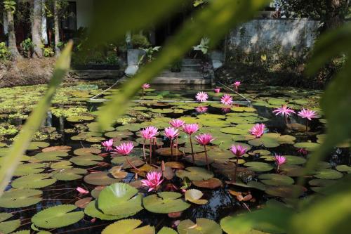 Jardín al aire libre en Marari Ebin Charlys