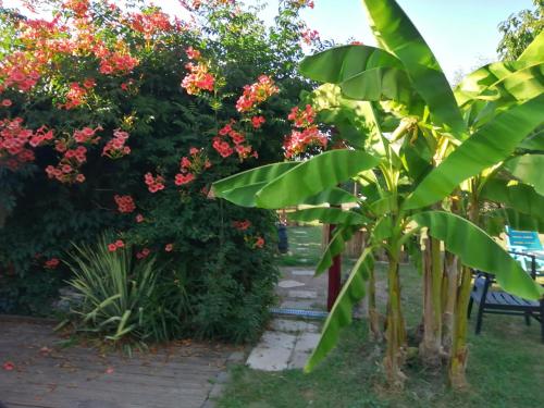 un camino a través de un jardín con flores y plantas en Logement 2 Chambres Paradise Grand Jardin et Terrasse, en Férolles