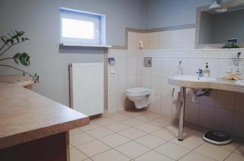 a bathroom with a toilet and a sink at Dżolanda Pokoje in Milsko
