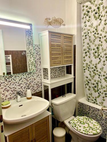 une salle de bain avec un lavabo, des toilettes et une douche dans l'établissement Appartement ou Studio la mer & la plage à vos pieds CALVI, à Calvi