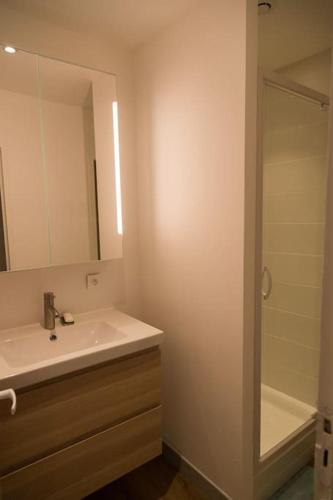 une salle de bain avec un lavabo, un miroir et une douche dans l'établissement Maison de ville calme Rouen St.Paul 2ch proche CHU, à Rouen