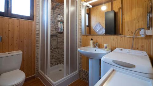 a bathroom with a shower and a sink and a toilet at Casa Rural La Canadiense Log Cabin in Buenache de la Sierra