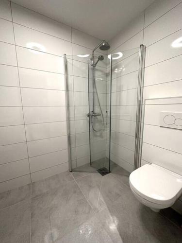 a bathroom with a shower and a toilet at Staying, studio apt. 2 in Tromsø