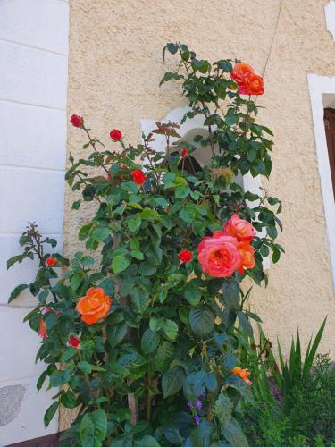 a bunch of flowers on the side of a building at Stoffenhof in Oberdrauburg
