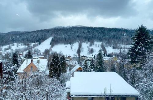 a town covered in snow with a mountain in the background at REST4U APARTAMENTY z SAUNAMI in Szczyrk