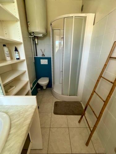 une salle de bain avec douche et toilettes dans l'établissement Résidence Pleine mer, à Saint-Pierre-en-Port