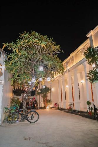 a bike parked next to a tree in front of a building at Lavender Tan Thanh Hotel mini resort in Cong Thanh (3)