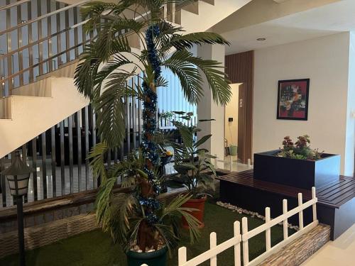 a palm tree in a hallway next to a fence at Ayla City Hotel in Sorong