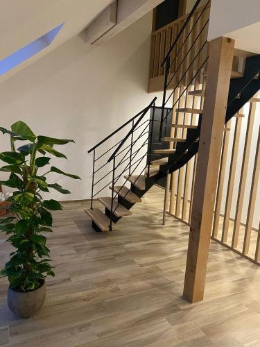 un escalier dans une pièce avec une plante en pot dans l'établissement le 701, à Theux