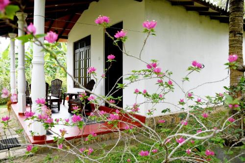 Gallery image of Bay Hill Guest House in Tangalle