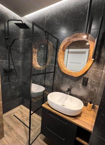 un bagno con lavandino e specchio di Apartament Koliber Spa a Rzeszów