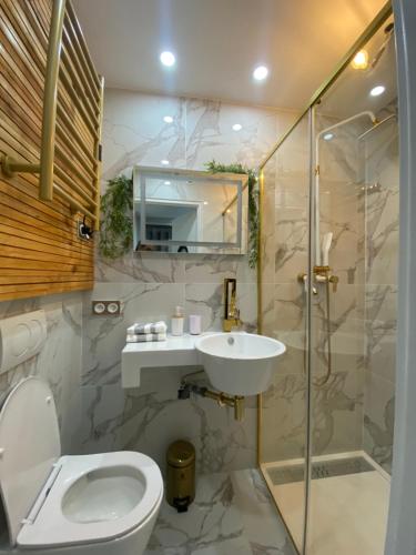 une salle de bain avec toilettes, lavabo et douche dans l'établissement Studio centre ville palais de la mer 100m port et 300m plage, à Sainte-Maxime