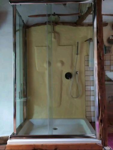 a shower with a glass enclosure in a bathroom at Sa domu 'eccia in Urzulei