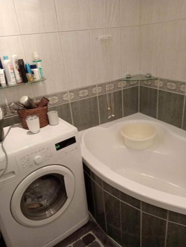 a bathroom with a washing machine and a sink at Bogatynia baza wypadowa Turów in Bogatynia