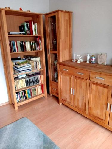 une chambre avec deux bibliothèques et un comptoir avec des livres dans l'établissement Bogatynia baza wypadowa Turów, à Bogatynia