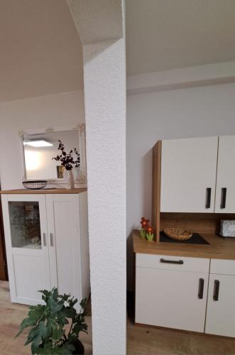 Kuchyň nebo kuchyňský kout v ubytování Ferienwohnung Am Reitersgäßchen