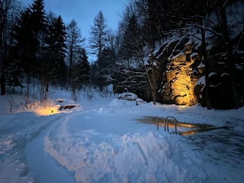 a snow covered yard with lights in the snow at Apartmány NONE in Branná