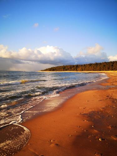 a beach with the ocean and trees in the background at Metsaräägu Wellness in Ulendi
