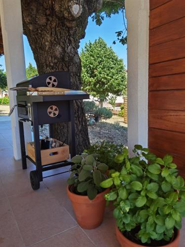 a grill on a porch next to a tree at Apartment Luce in Pićan