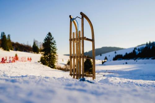 a pair of skis in the snow on a snow covered slope at Das Waldhotel - Genuss & Wellness am Notschreipass in Todtnau