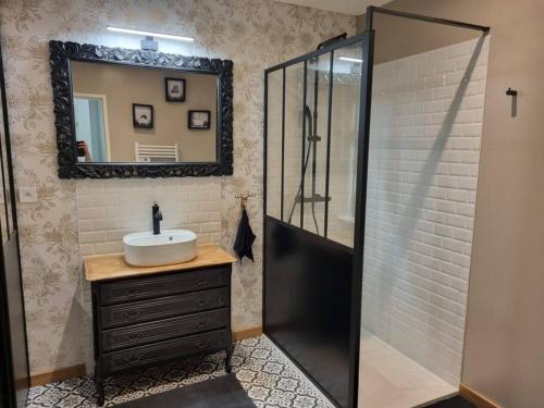 ein Bad mit einem Waschbecken und einer Dusche mit einem Spiegel in der Unterkunft proche chateaux et zoo de beauval: gîte de sologne in Pruniers