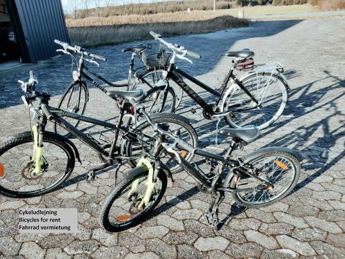 a group of three bikes parked next to each other at Landstedet Billund in Billund