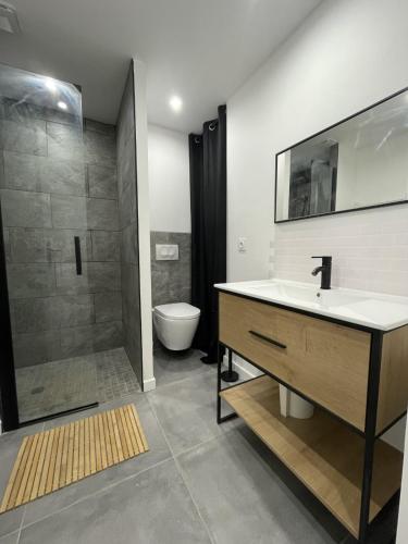 une salle de bain avec un lavabo, une douche et des toilettes dans l'établissement Charmant T2, parking privé, à Argelès-Gazost