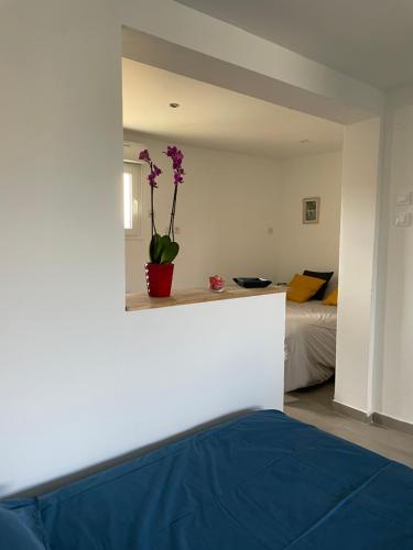 ein Zimmer mit einem Bett und einer Topfpflanze auf einem Regal in der Unterkunft La belle étoile in Roye