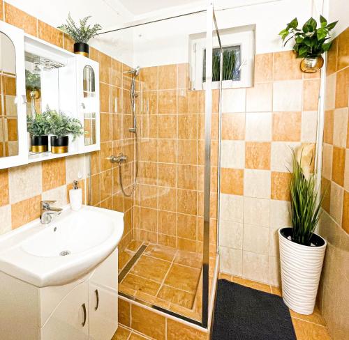 La salle de bains est pourvue d'une douche et d'un lavabo. dans l'établissement Villa Blue Apartman, à Szekszárd