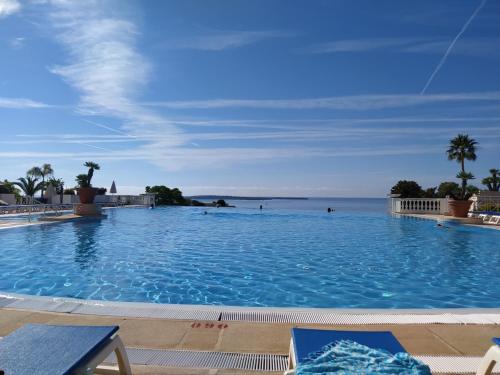 ein großer Swimmingpool mit dem Meer im Hintergrund in der Unterkunft Cannes & More in Cannes