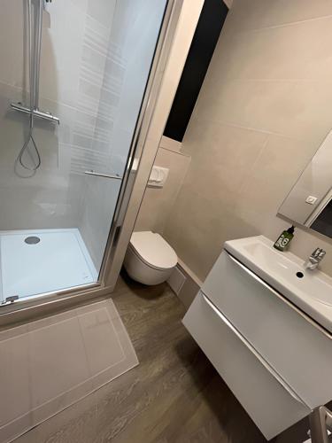 une salle de bain avec une douche, des toilettes et un lavabo dans l'établissement Cocon Cosy Nancy centre, à Nancy
