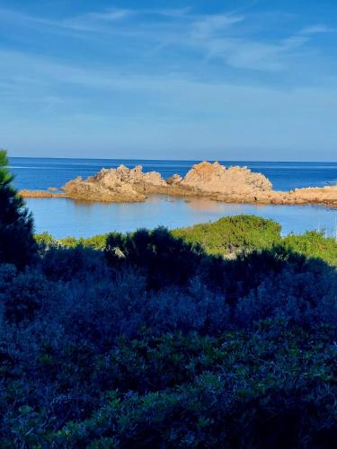a body of water with rocks in the ocean at Appartamento Calarossa Sardegna CasaRosa in Isola Rossa