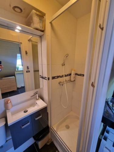 une salle de bain avec douche et lavabo dans l'établissement Studio au pied des pistes, à Allos