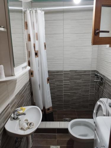 uma casa de banho com um lavatório, um chuveiro e um WC. em Kuca u sumi em Bijelo Polje