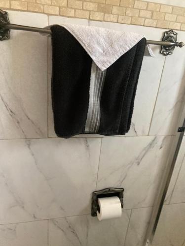 a bathroom with a roll of toilet paper and towels at The hip hop hotels in Tampa
