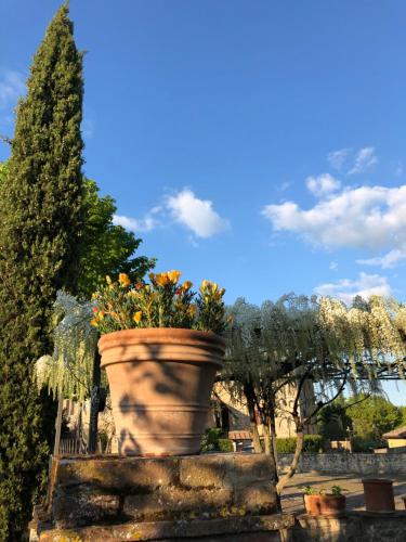 Κήπος έξω από το Agriturismo San Giusto