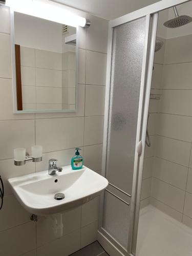 y baño con lavabo y ducha. en Modernisierte Ferienwohnung Friedrichskoog - Spitze, gegenüber Mutter-Kind-Klinik, en Friedrichskoog