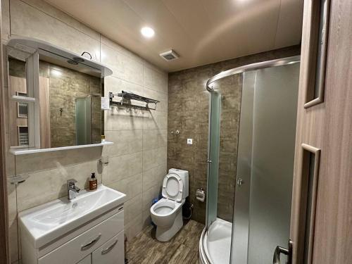 W łazience znajduje się toaleta, umywalka i prysznic. w obiekcie 5 Rooms near 300 Aragveli metro station w mieście Tbilisi City