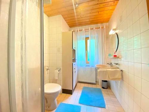 ZentingにあるFerienwohnung, Zentingのトイレ、洗面台、シャワー付きのバスルーム