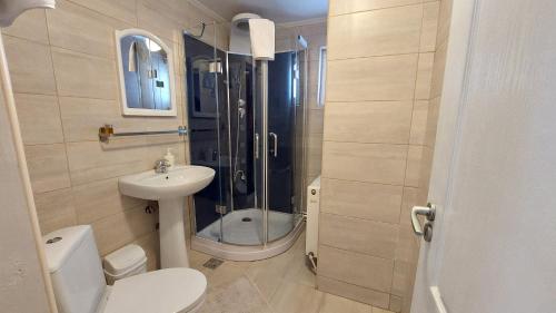 a bathroom with a shower and a toilet and a sink at Casa Victoria in Moieciu de Sus