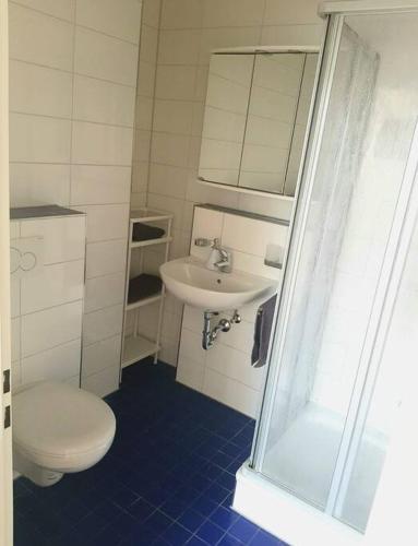 a small bathroom with a toilet and a sink at Helles Apartment in Neutraubling