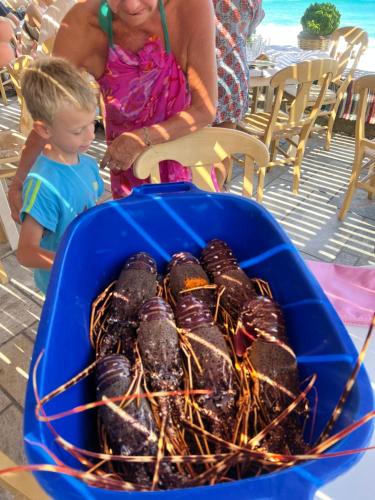 a blue tub filled with lobsters on a beach at TO VOTSALO-beach side studios & taverna in Karpathos Town