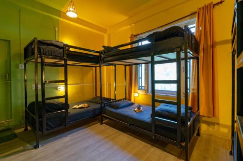 a room with two bunk beds in a room at Jungle Hostel by Whoopers in Kasol