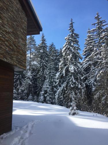 Borovets Chalets – Photos 4