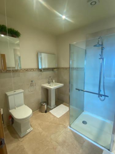 La salle de bains est pourvue de toilettes, d'une douche et d'un lavabo. dans l'établissement Flat 3, Murray Crescent House, à Milford Haven