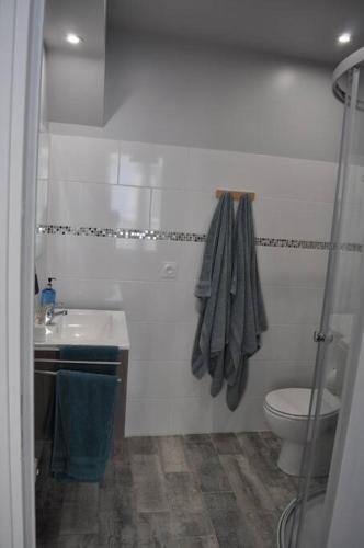 une salle de bain avec toilettes et lavabo dans l'établissement Le macareux, maison de pêcheur., à Saint-Valery-sur-Somme